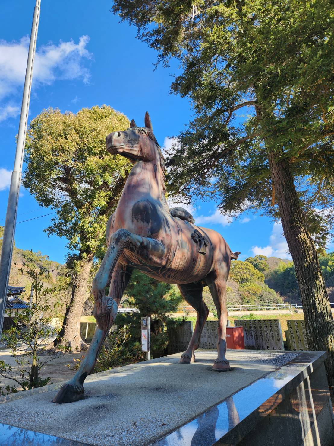 年女、イタリアンレストランへ行く