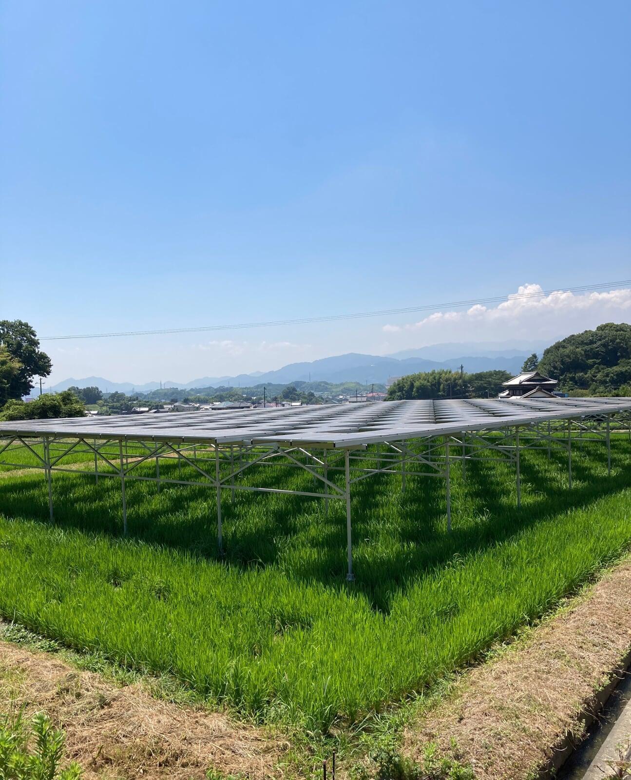 ひらのうえん通信3