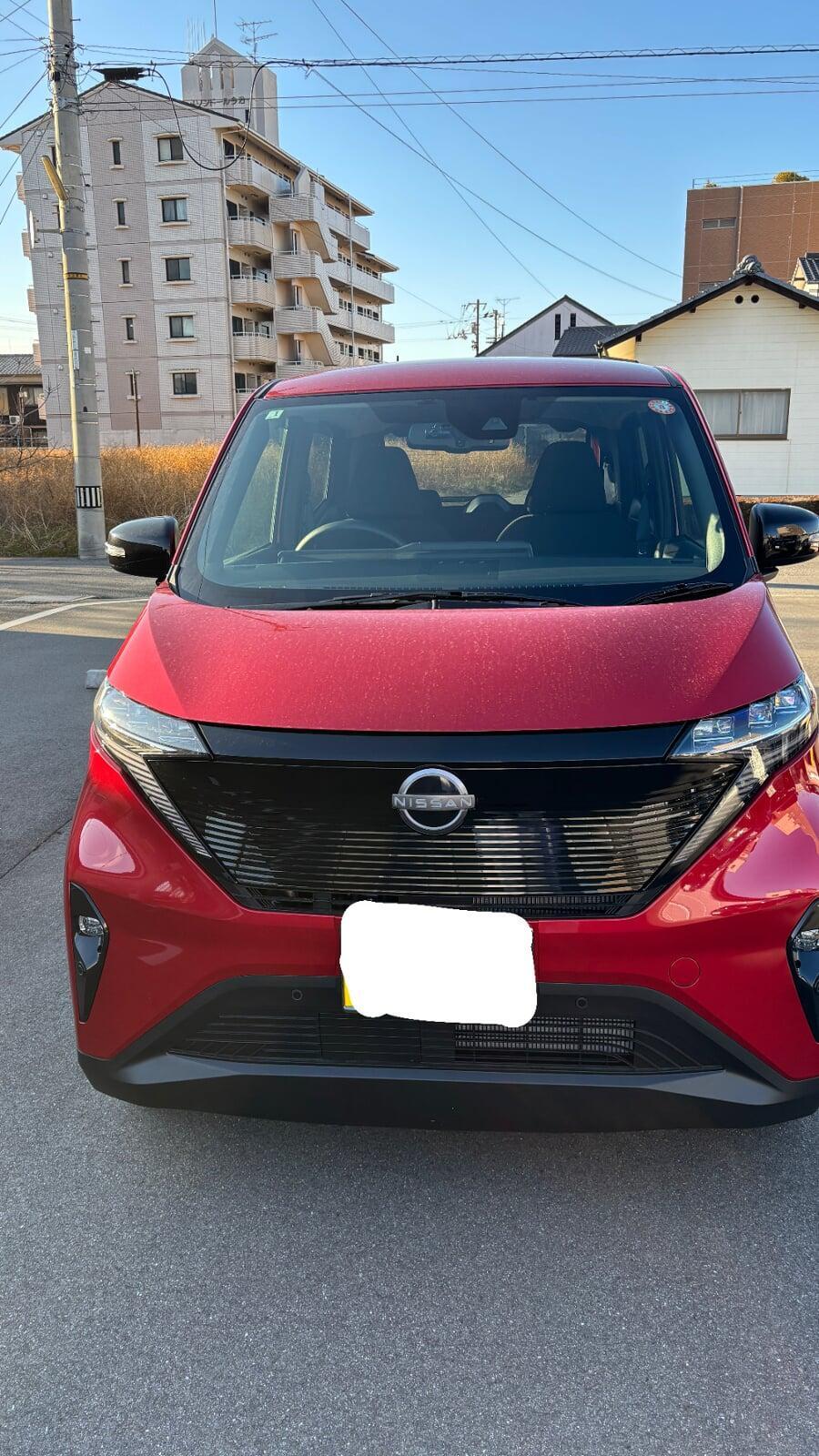 待ちに待ったサクラ