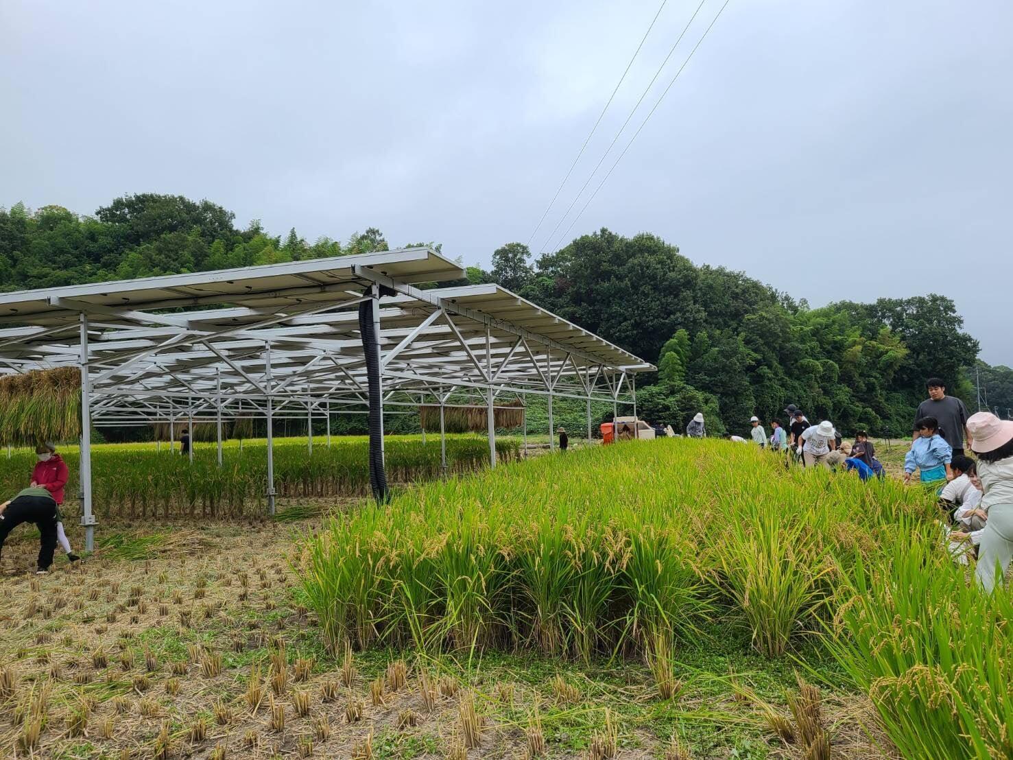 ひらのうえん通信6