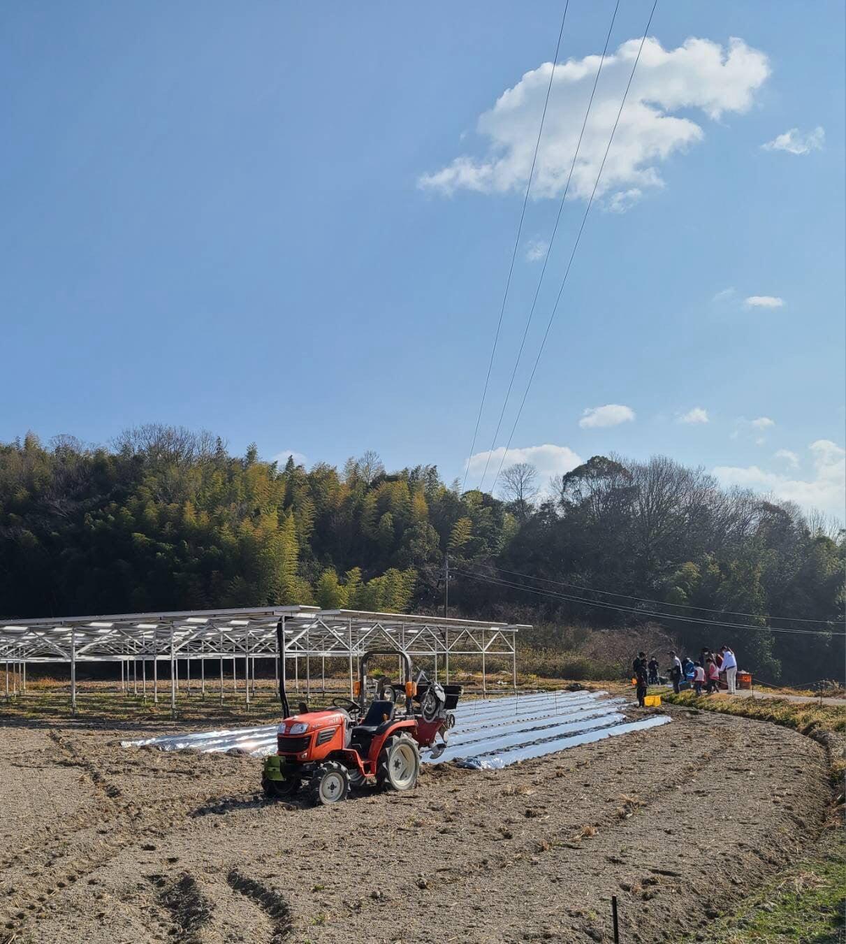 ひらのうえん通信 8