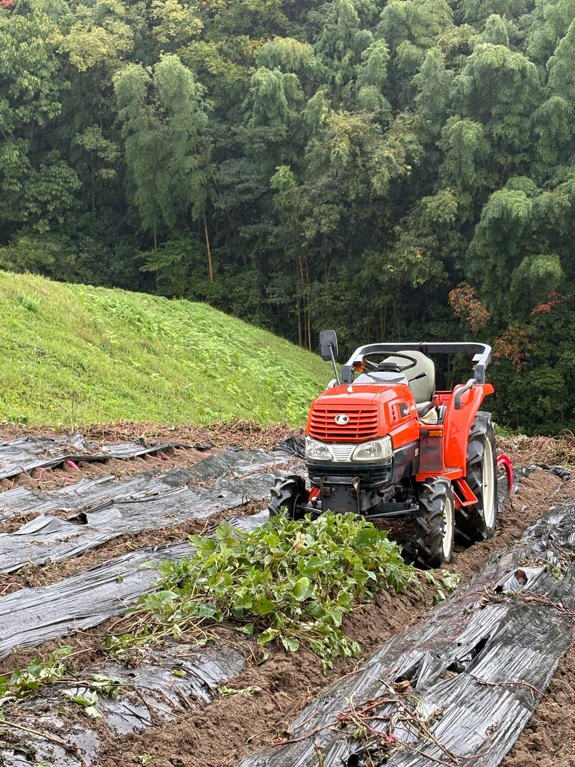 ひらのうえん通信7